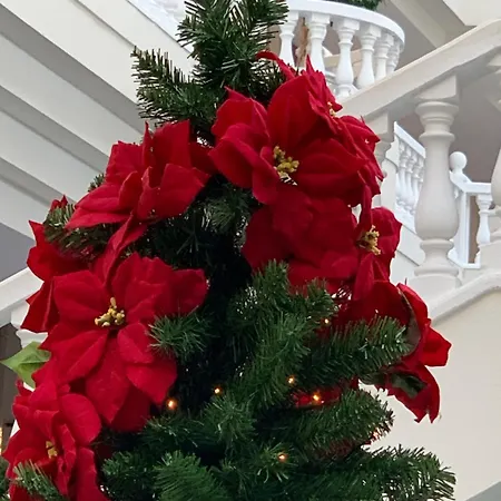 Апартаменты Luxury Royal